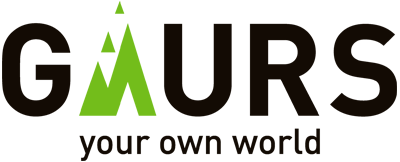 project logo